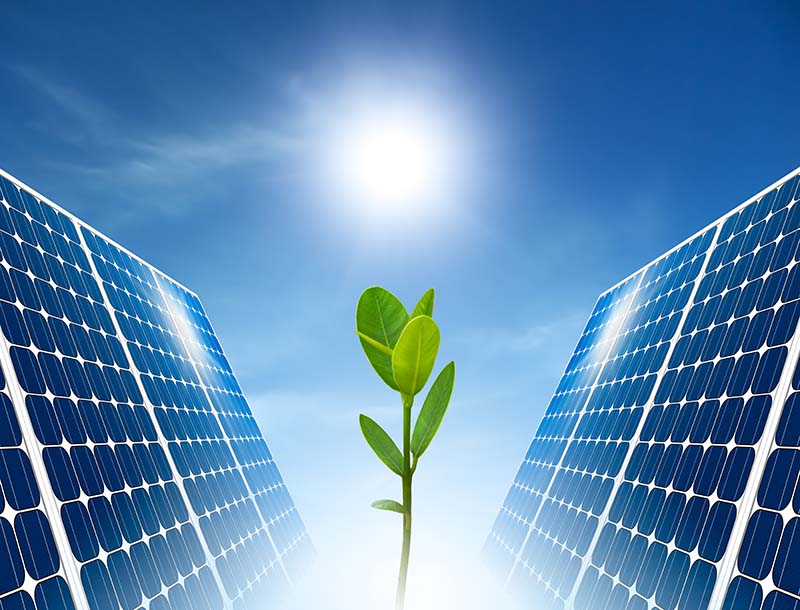 écologie photovoltaïque